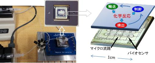 研究室で開発したバイオセンサ集積回路