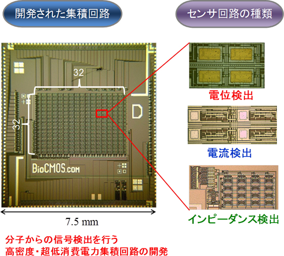 バイオセンサ集積回路における検出方法