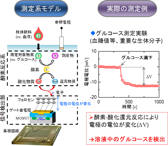 拡張ゲートFET型レドックスセンサを用いたグルコース検出 